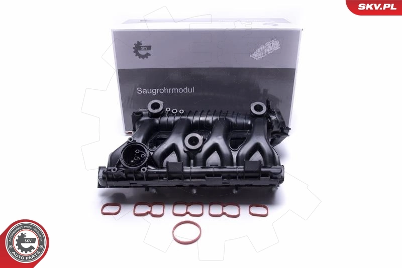 Intake Manifold Module